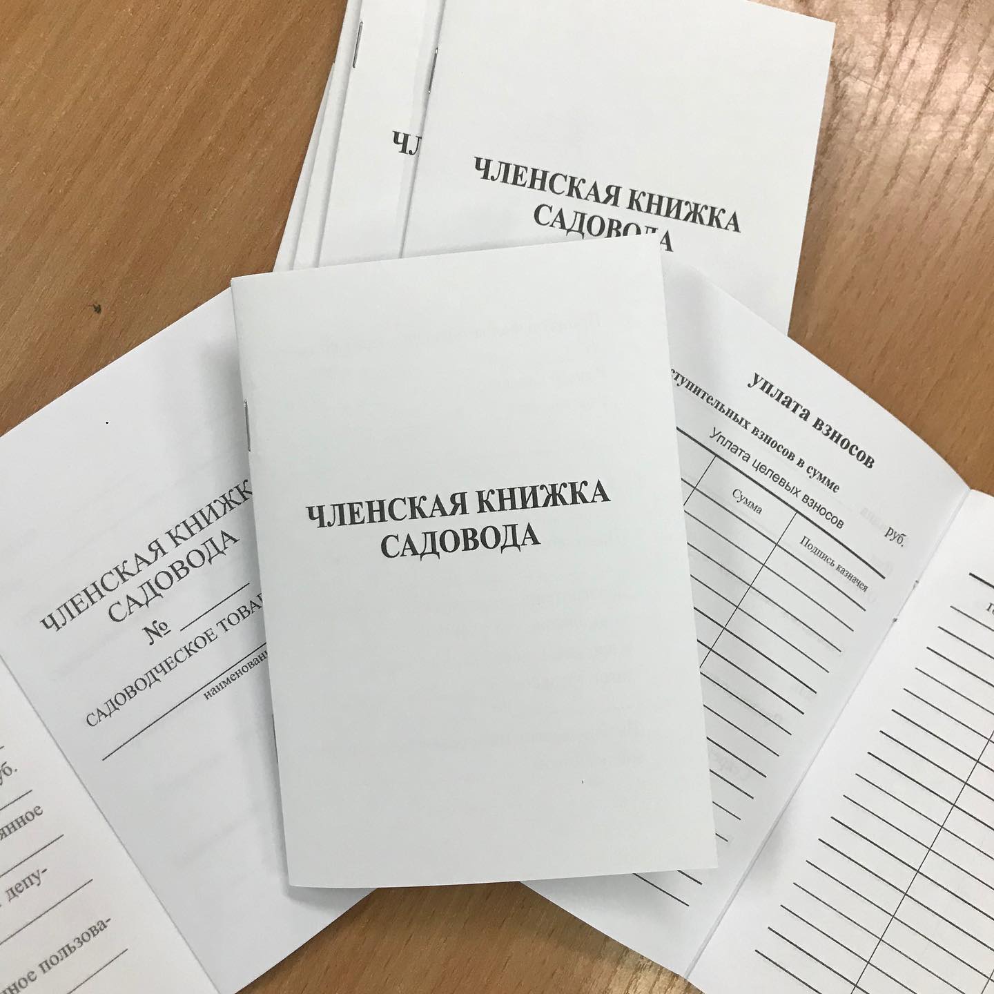 Членская книжка садовода Продолжаем нашу рубрику #какэтосделаноскан Сегодня мы на по