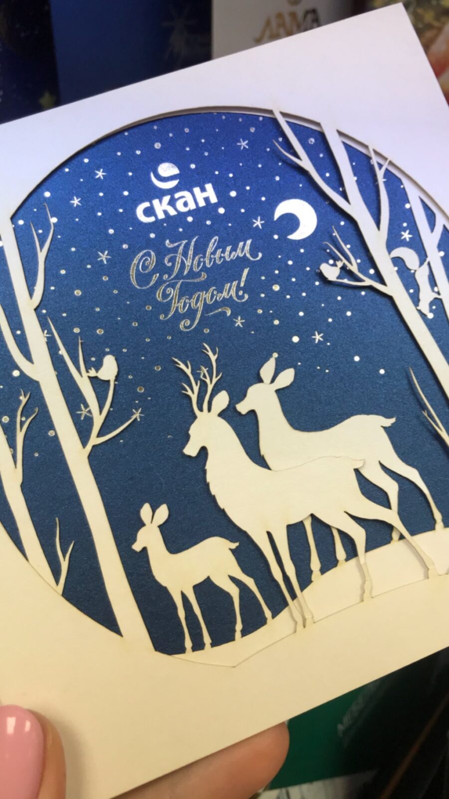 Stories от 29.11.2019