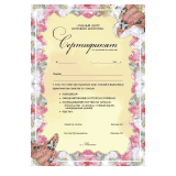 Дипломы, грамоты, сертификаты — печать на заказ в Томске — Diploma 3